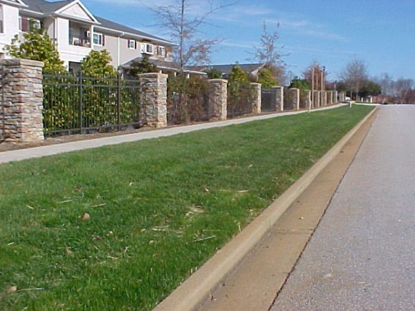 bluegrass | Walter Reeves: The Georgia Gardener