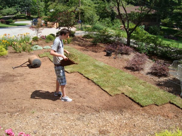 Levelling Low Spots in Sod