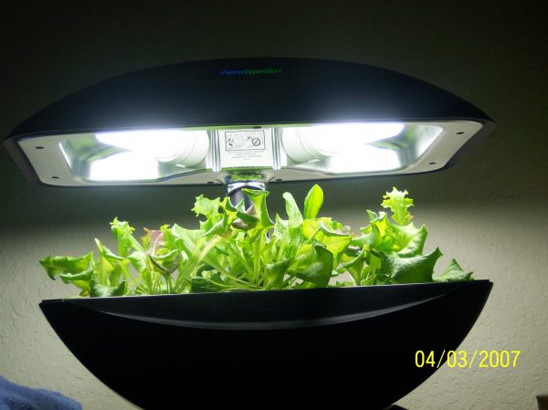 AeroGarden