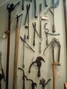 limb loppers