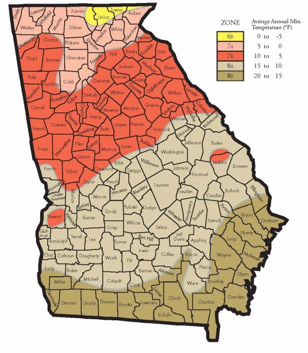 Hardiness Zones for Georgia