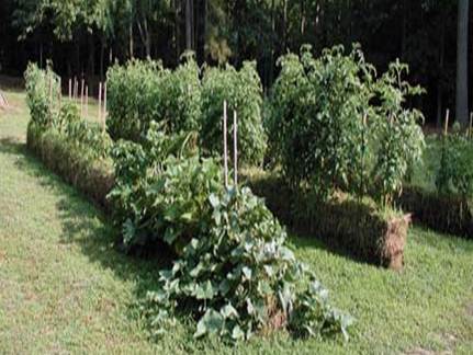 straw bale garden