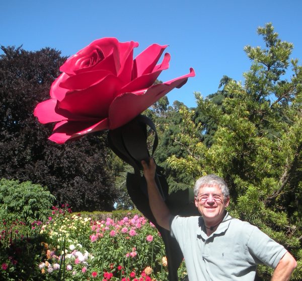 hybrid tea rose