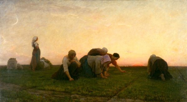Weeders Breton | Walter Reeves: The Georgia Gardener