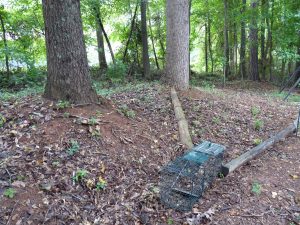 armadillo drift fence