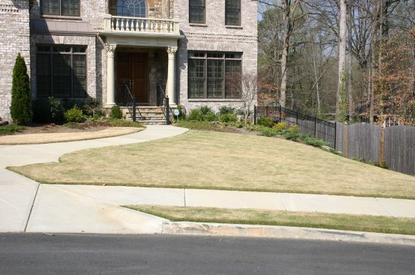 berm 25 percent green 5 1000 | Walter Reeves: The Georgia Gardener