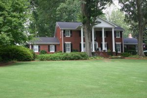 Choosing the Best Grass For Your Lawn