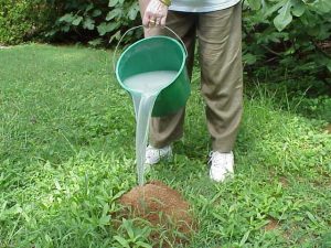 mound drench