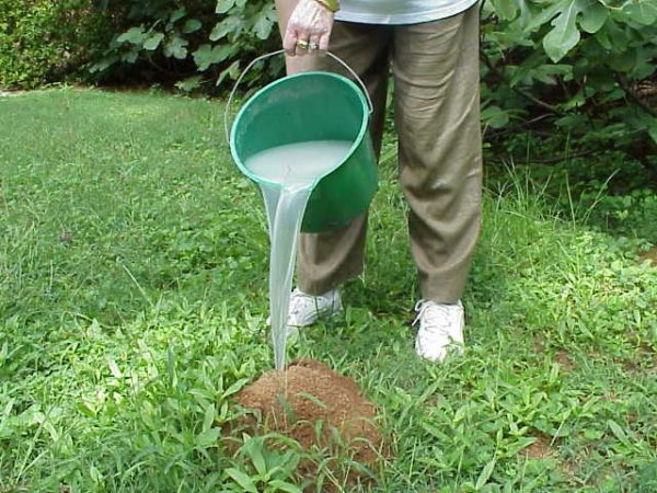 mound drench