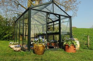 LED lights greenhouses