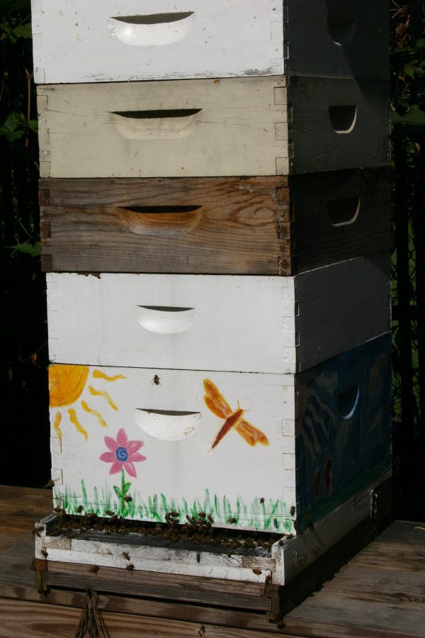 honeybee hive 5 | Walter Reeves: The Georgia Gardener honeybee hive