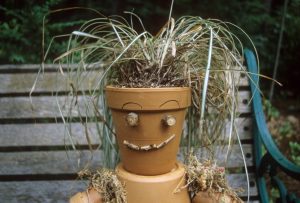 pot baby