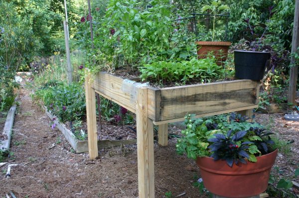really raised bed 2 | Walter Reeves: The Georgia Gardener
