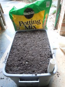 almost there! fill the tub completely with potting soil