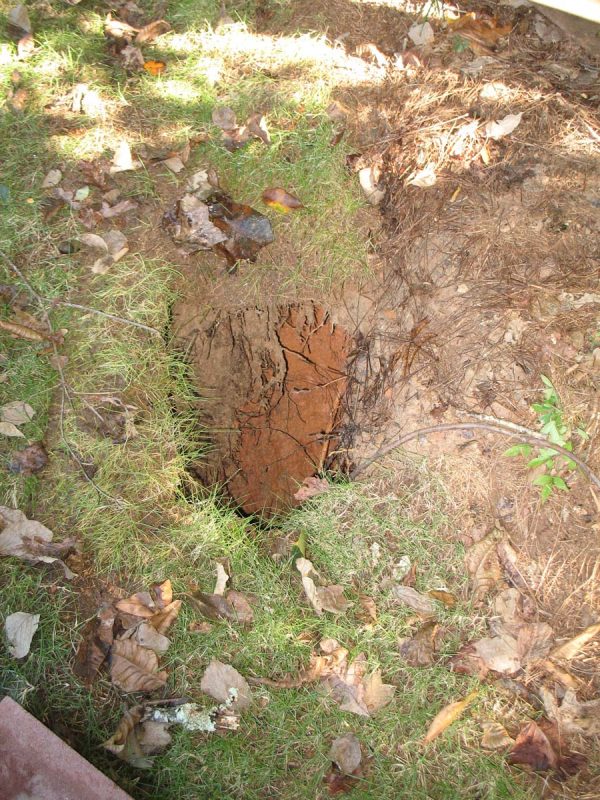 sinkhole 1 Bob Thorp | Walter Reeves: The Georgia Gardener