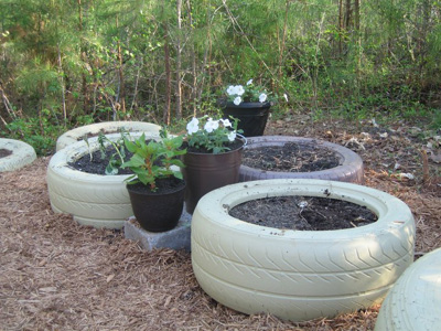 tiregarden3 | Walter Reeves: The Georgia Gardener