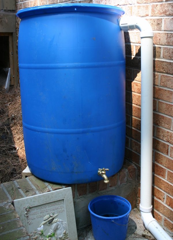 rain barrel