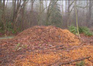 Using Wood Chips In the garden