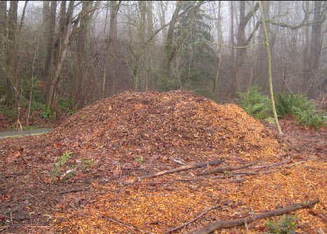 Using Wood Chips In the garden