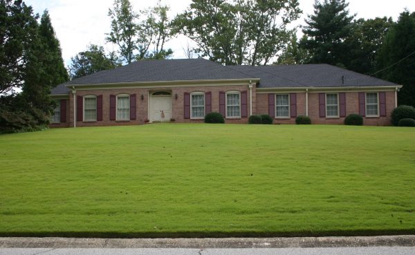 zoysia aerator