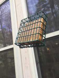 bird suet feeder 3 | Walter Reeves: The Georgia Gardener